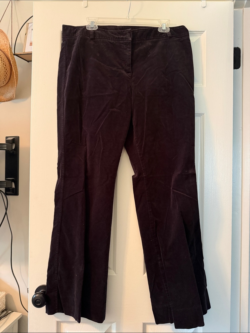 Style & Co. Deep Plum Corduroy Pants